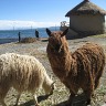 Bolivian Adventure